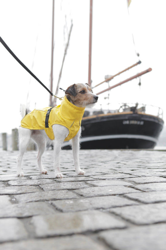 Vimy regntäcke, L: 55 cm, gul